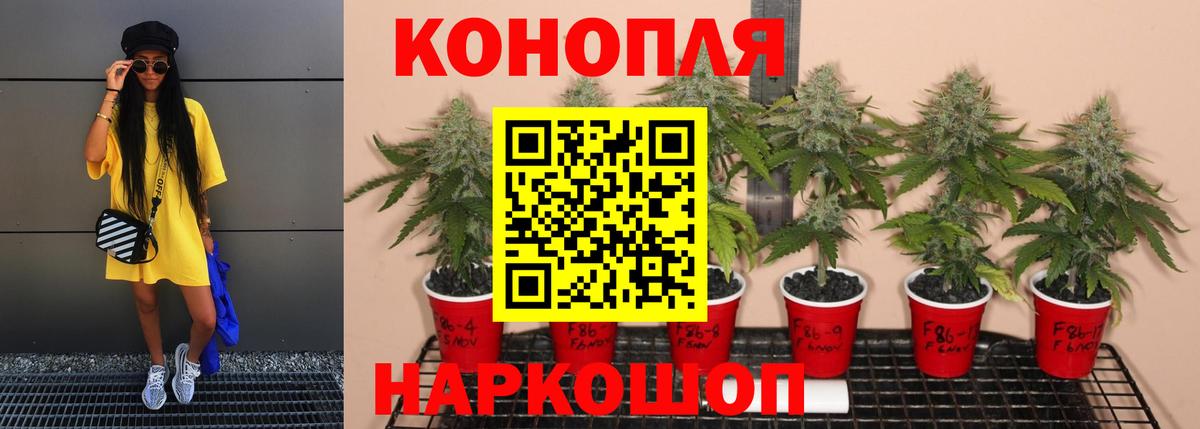 Каннабис AK-47  Конопля сатива  Конопля THC 21%  Вход с VPN  Нижневартовск 